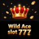 wildaceslots777.com favicon